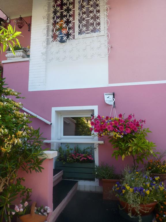Junior Hotel