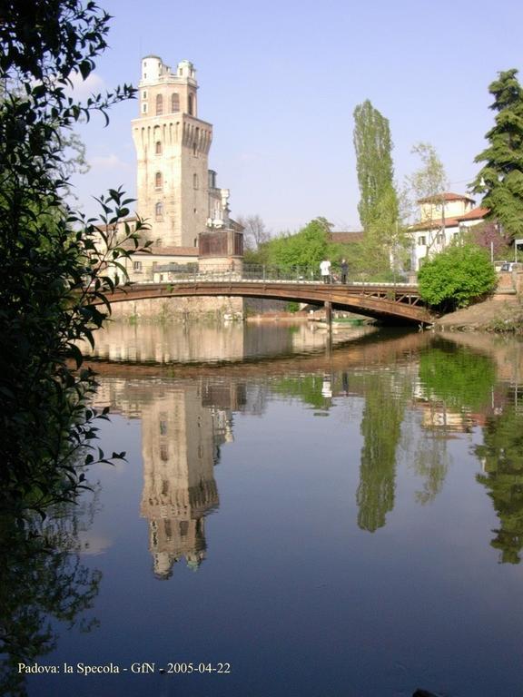 Junior 2* Padova